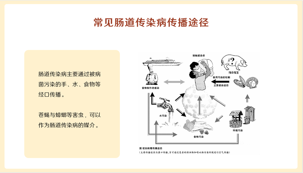 e7fe64d3f34d451393ad423db0a8d0f2.png