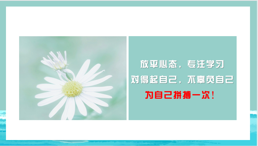 81d62f96294748efa7ae19b0a1af543f.png